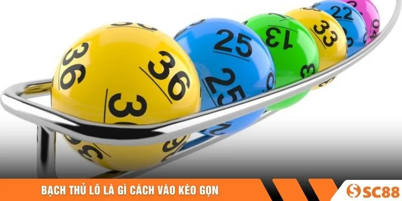 Bạch thủ lô là gì cách vào kèo gọn 